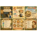 MICE115-1 #翼帆老師 #醫美SEO行銷的解決策略