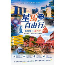 MICE 115-1 #大偉 #星馬客製旅遊