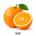 網拍班115-3#01佑