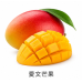 網拍班115-3#01佑