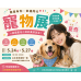 網拍班115-3#君君#拍買高手